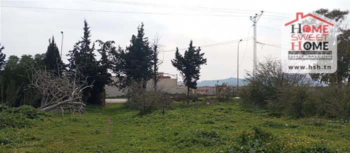 Tebourba&nbsp;Tebourba&nbsp;Terrain&nbsp;Terrain agricole&nbsp;Terrain agricole agrona � tebourba