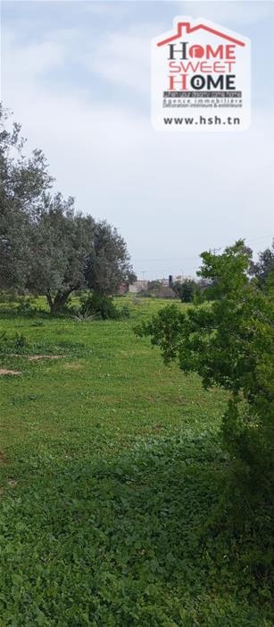 Tebourba&nbsp;Tebourba&nbsp;Terrain&nbsp;Terrain agricole&nbsp;Terrain agricole agrona � tebourba