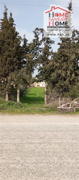 Terrain&nbsp;Terrain agricole