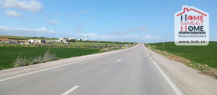Terrain&nbsp;Terrain agricole