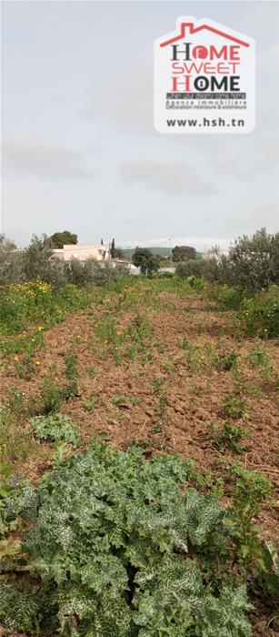 Mateur&nbsp;Mateur&nbsp;Terrain&nbsp;Terrain agricole&nbsp;Terrain agricole fructia � mateur