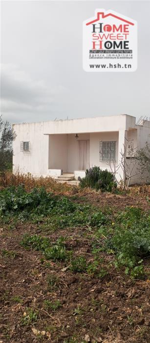 Terrain&nbsp;Terrain agricole