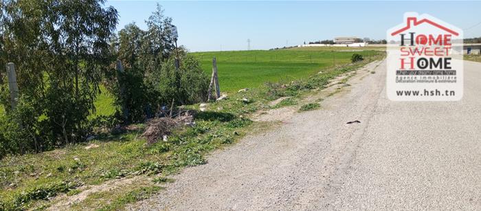 Mornaguia&nbsp;Mornaguia&nbsp;Terrain&nbsp;Terrain agricole&nbsp;Terrain agricole melora � mornaguia