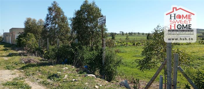 Terrain&nbsp;Terrain agricole
