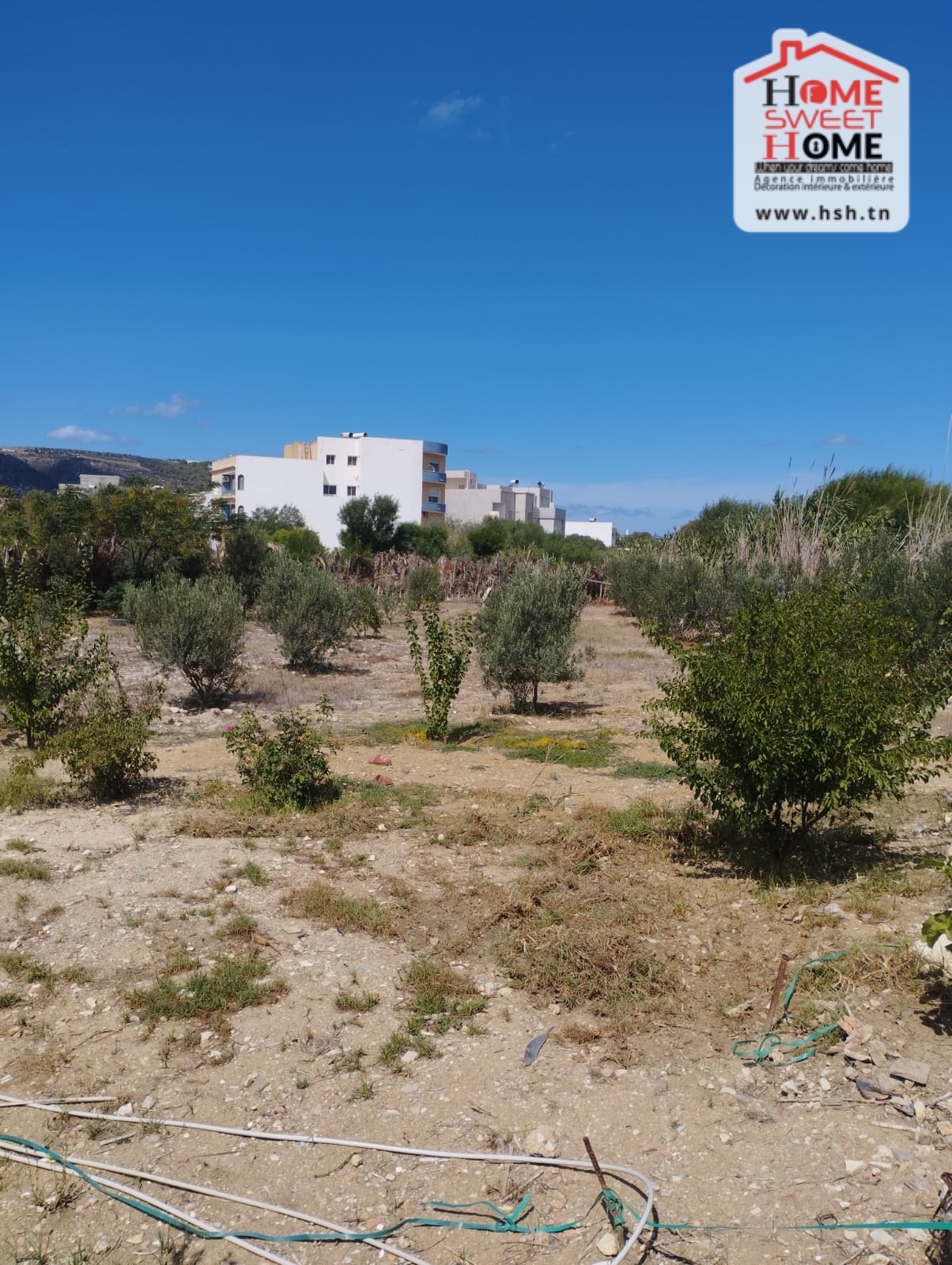 Bizerte Nord&nbsp;Bizerte&nbsp;Terrain&nbsp;Terrain nu&nbsp;Terrain habitation hortensia bizerte