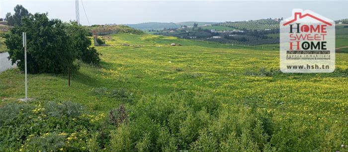 Mornaguia&nbsp;Mornaguia&nbsp;Terrain&nbsp;Terrain agricole&nbsp;Terrain agricole goria � mornaguia