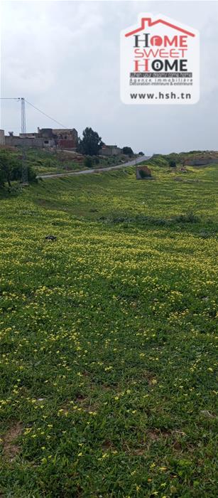 Terrain&nbsp;Terrain agricole