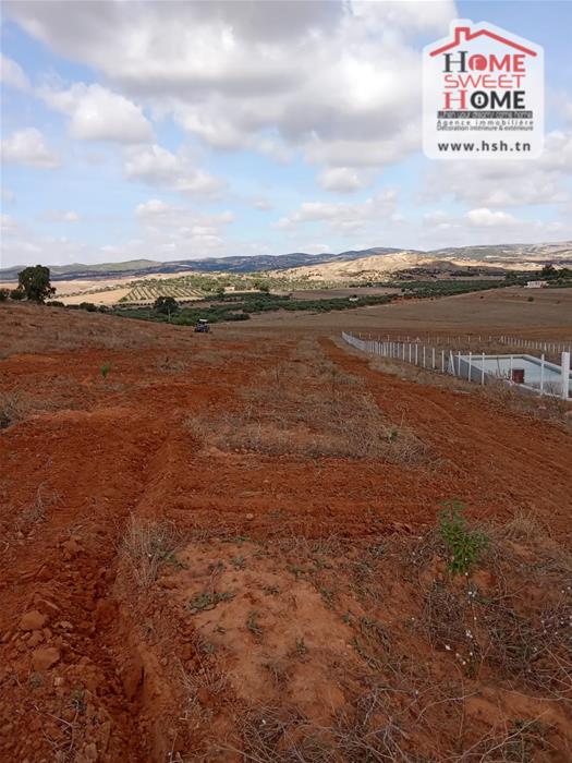 Zaghouan&nbsp;Zaghouan&nbsp;Terrain&nbsp;Terrain agricole&nbsp;Terrain agricole olmira � zaghouan
