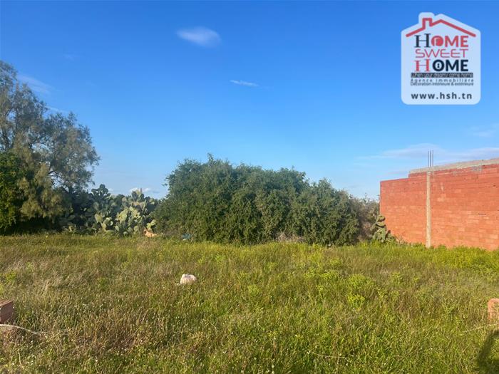 Terrain&nbsp;Terrain nu