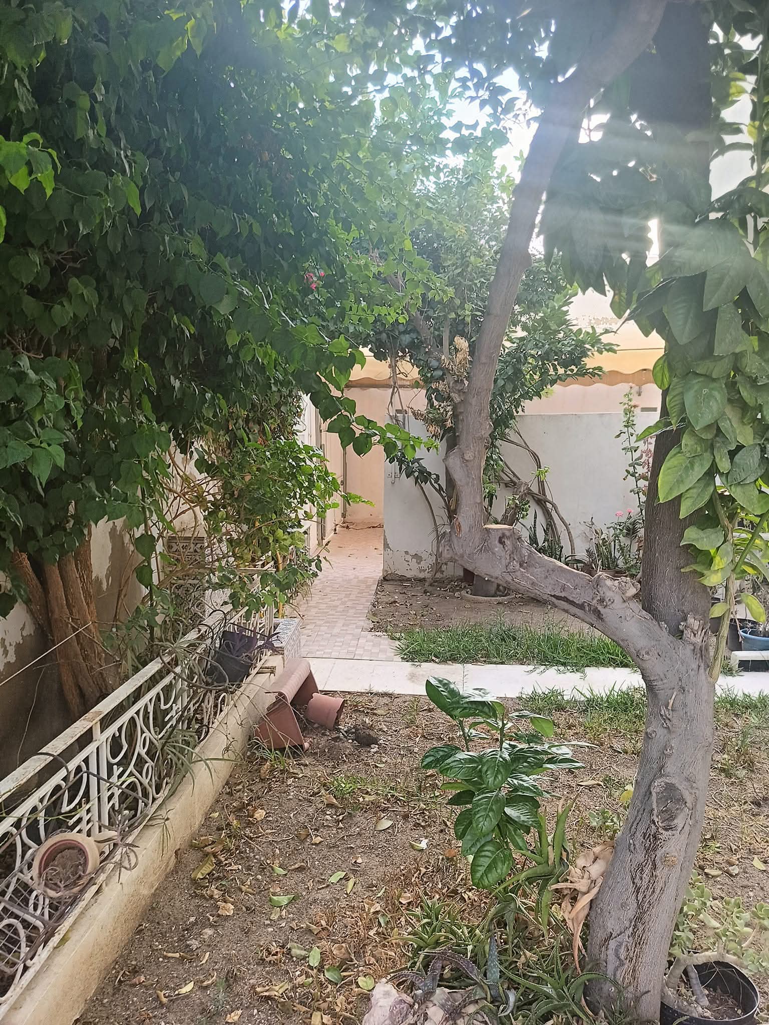 Ariana Ville&nbsp;Ariana&nbsp;Vente&nbsp;Duplex&nbsp;Villa a borj louzir