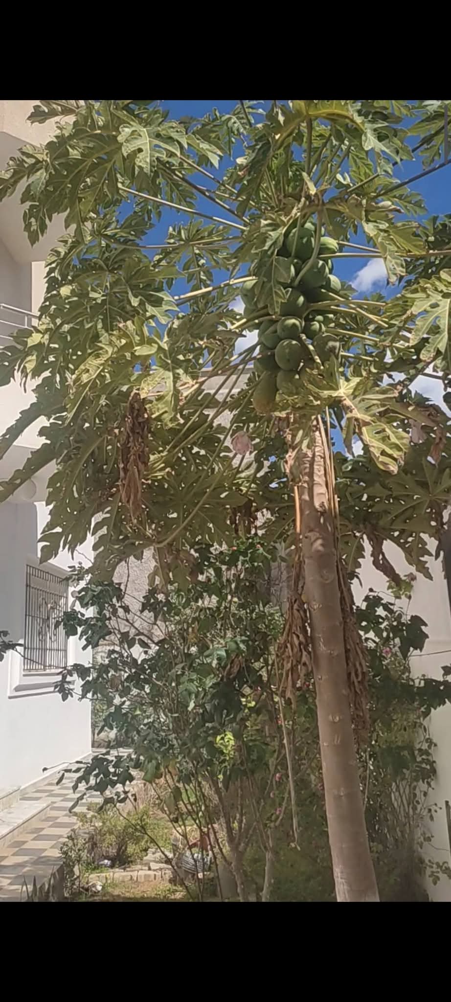 Location vacances&nbsp;Maisons