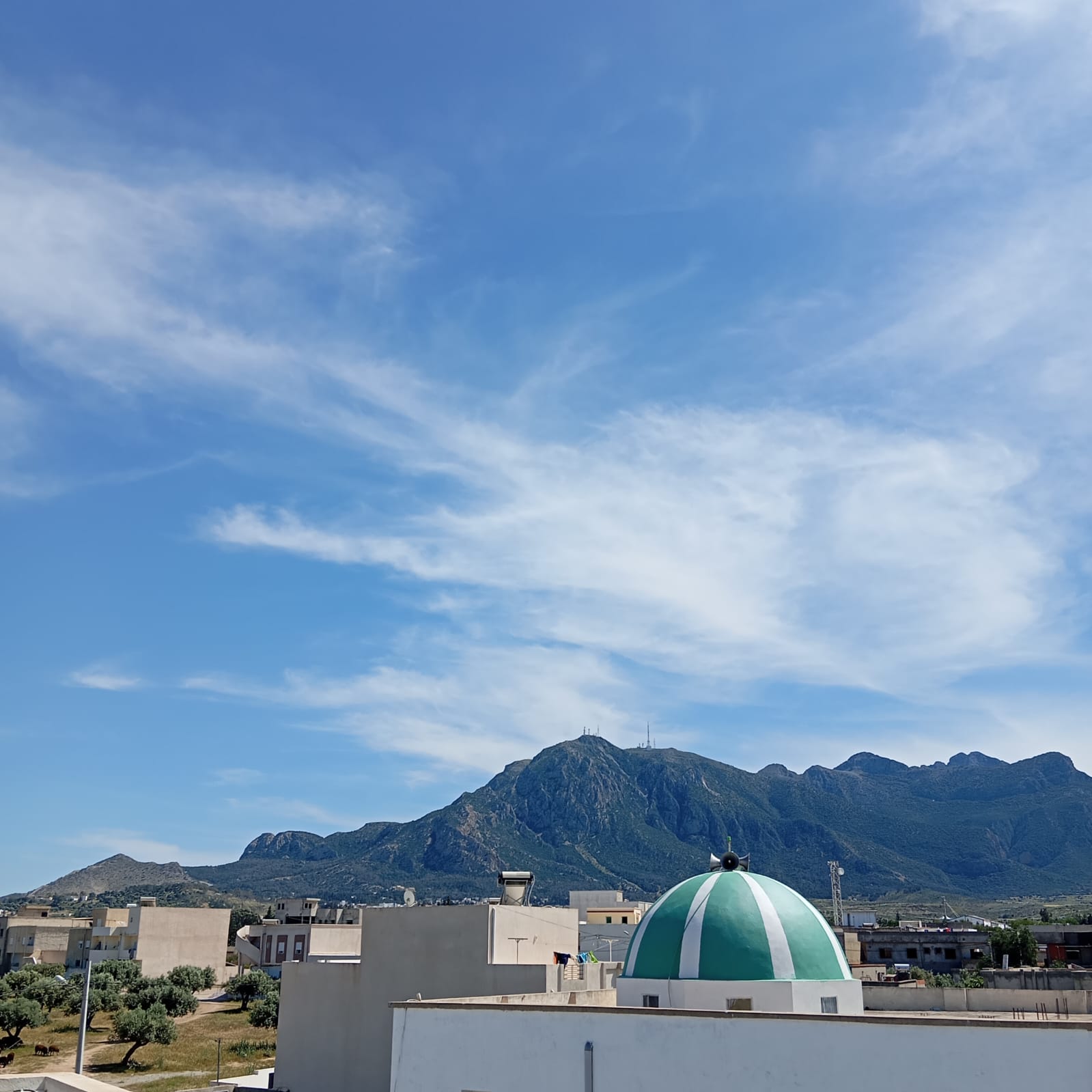 Bureaux & Commerces&nbsp;Surfaces