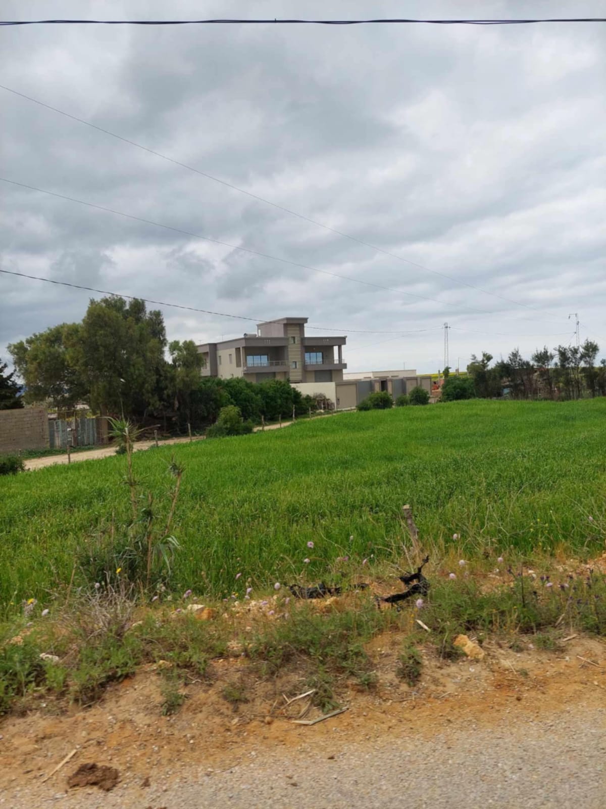 Terrain&nbsp;Terrain nu