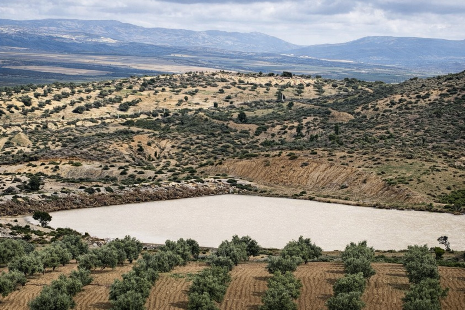 Zaghouan&nbsp;Zaghouan&nbsp;Terrain&nbsp;Terrain agricole&nbsp;Opportunit�  35 hectars � zaghouen