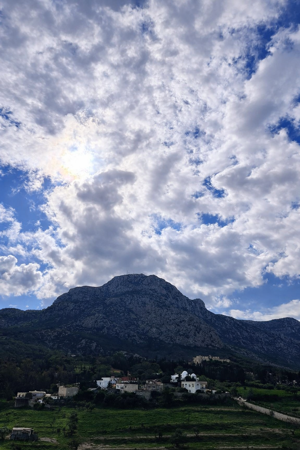 Zaghouan&nbsp;Zaghouan&nbsp;Terrain&nbsp;Terrain agricole&nbsp;Opportunit�  35 hectars � zaghouen