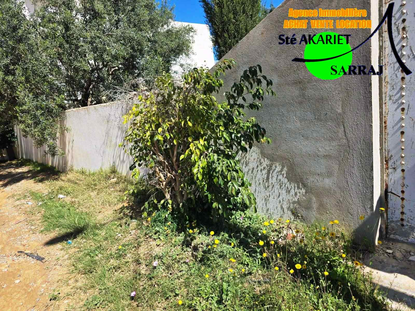 Terrain&nbsp;Terrain agricole