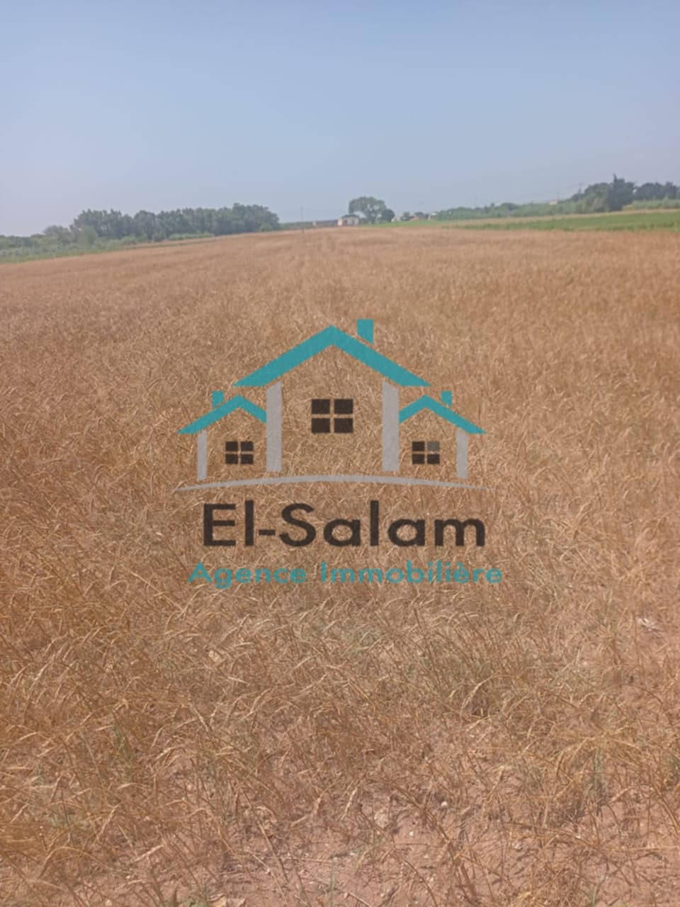 Terrain&nbsp;Terrain nu