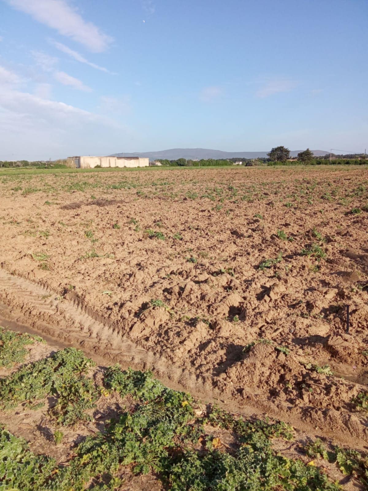 Terrain&nbsp;Terrain agricole