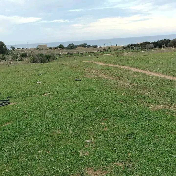 Terrain&nbsp;Terrain agricole