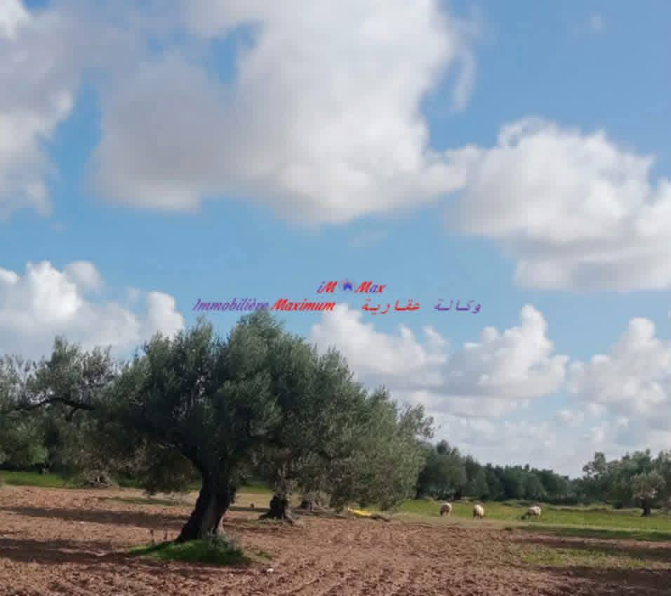 Terrain&nbsp;Terrain agricole