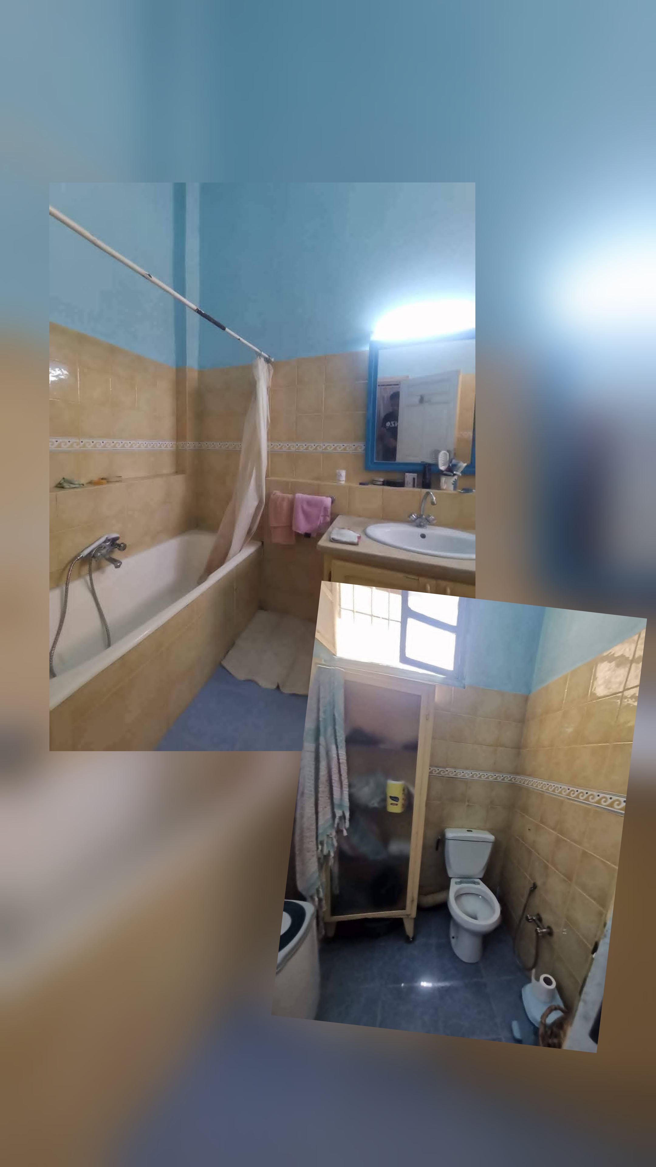 Location&nbsp;Appart. 3 pi�ces