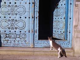 La Medina&nbsp;El Medina&nbsp;Terrain&nbsp;Terrain nu&nbsp;Terrain el m�dina