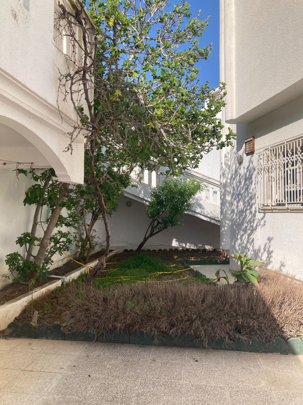 El Menzah&nbsp;El Menzah 9&nbsp;Vente&nbsp;Maisons&nbsp;Maison de maitre