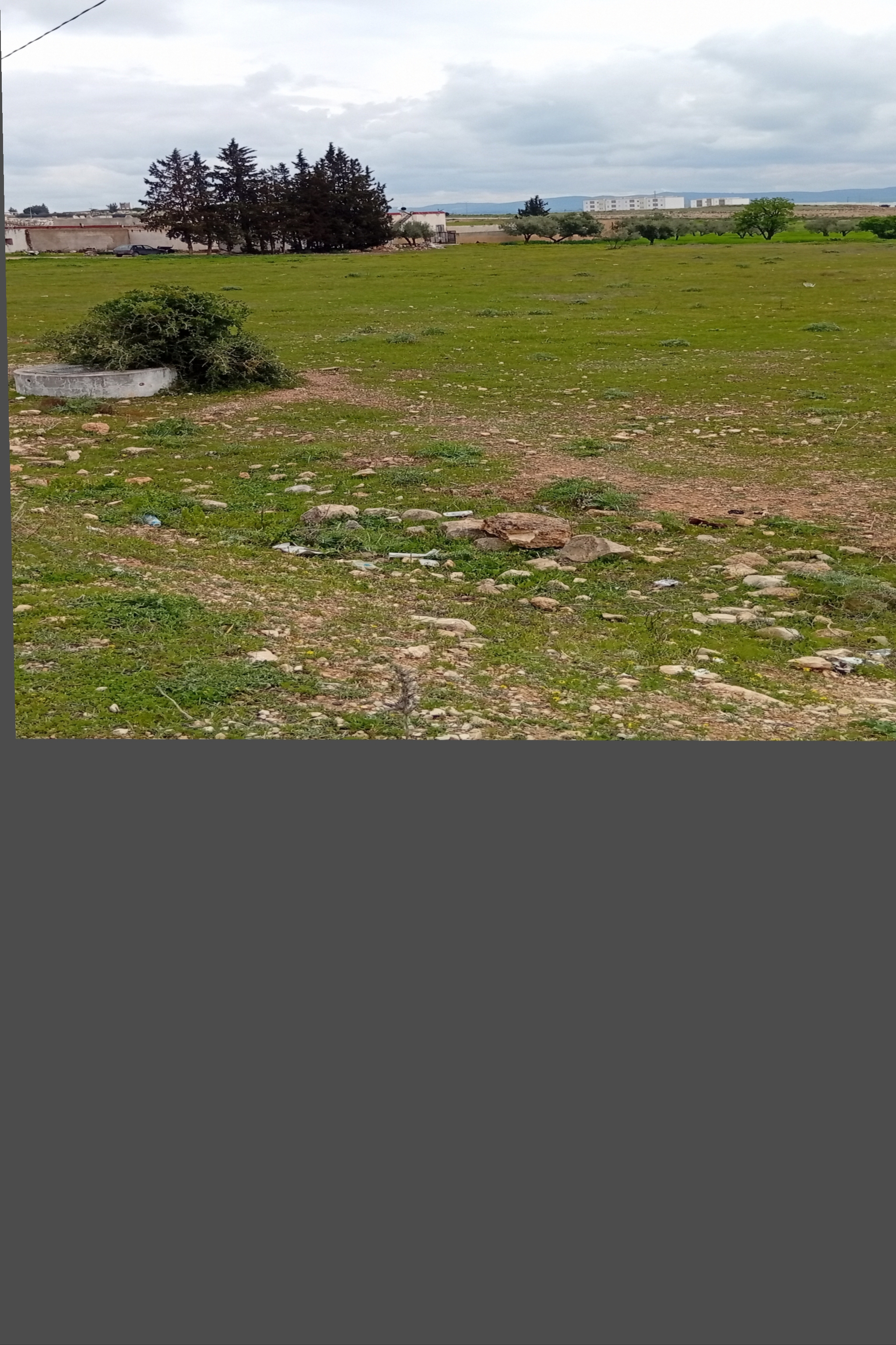 Le Kef Est&nbsp;Barnoussa&nbsp;Terrain&nbsp;Terrain nu&nbsp;Aradh llbi3 sidi abdallah tarik hamam malage