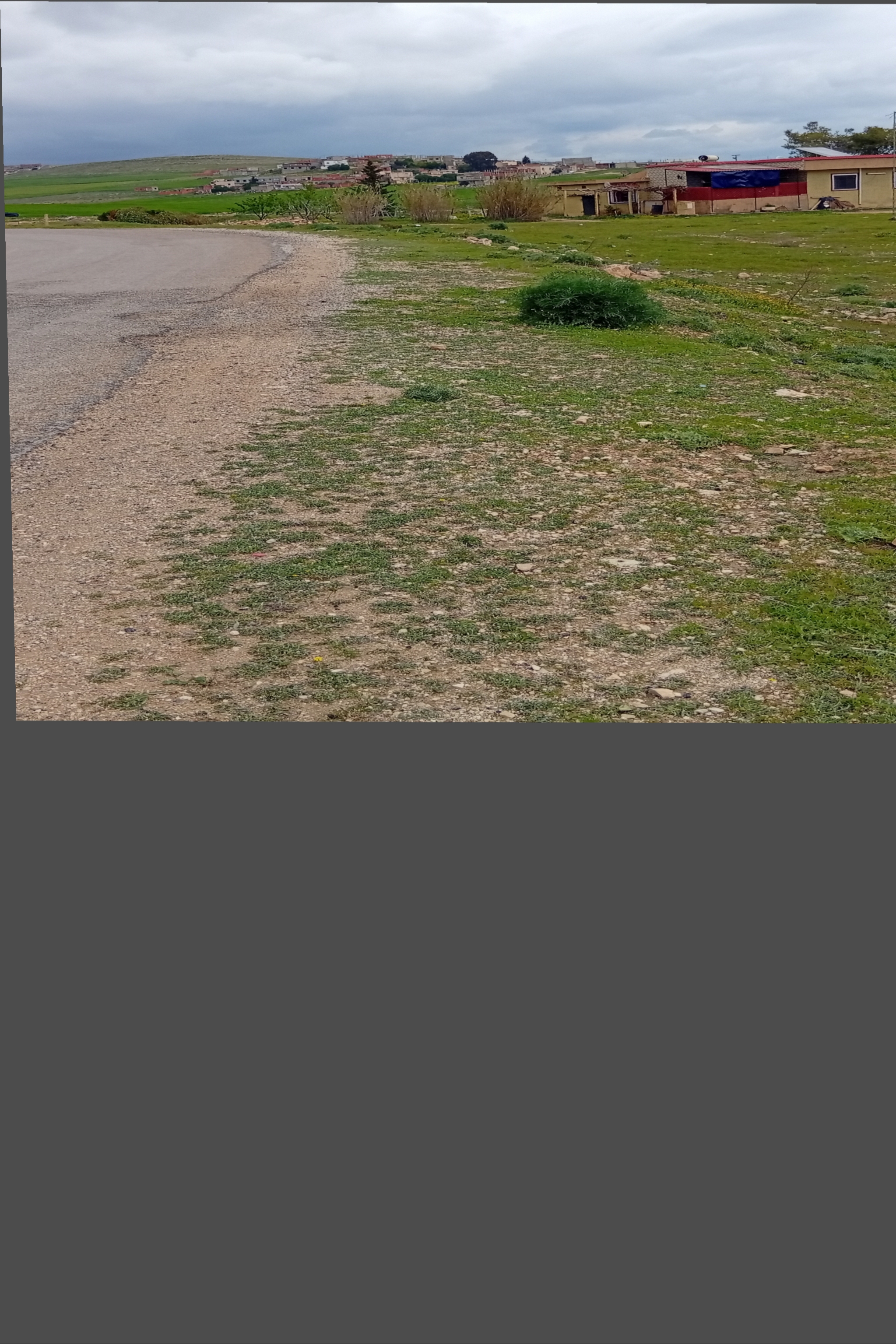 Terrain&nbsp;Terrain nu