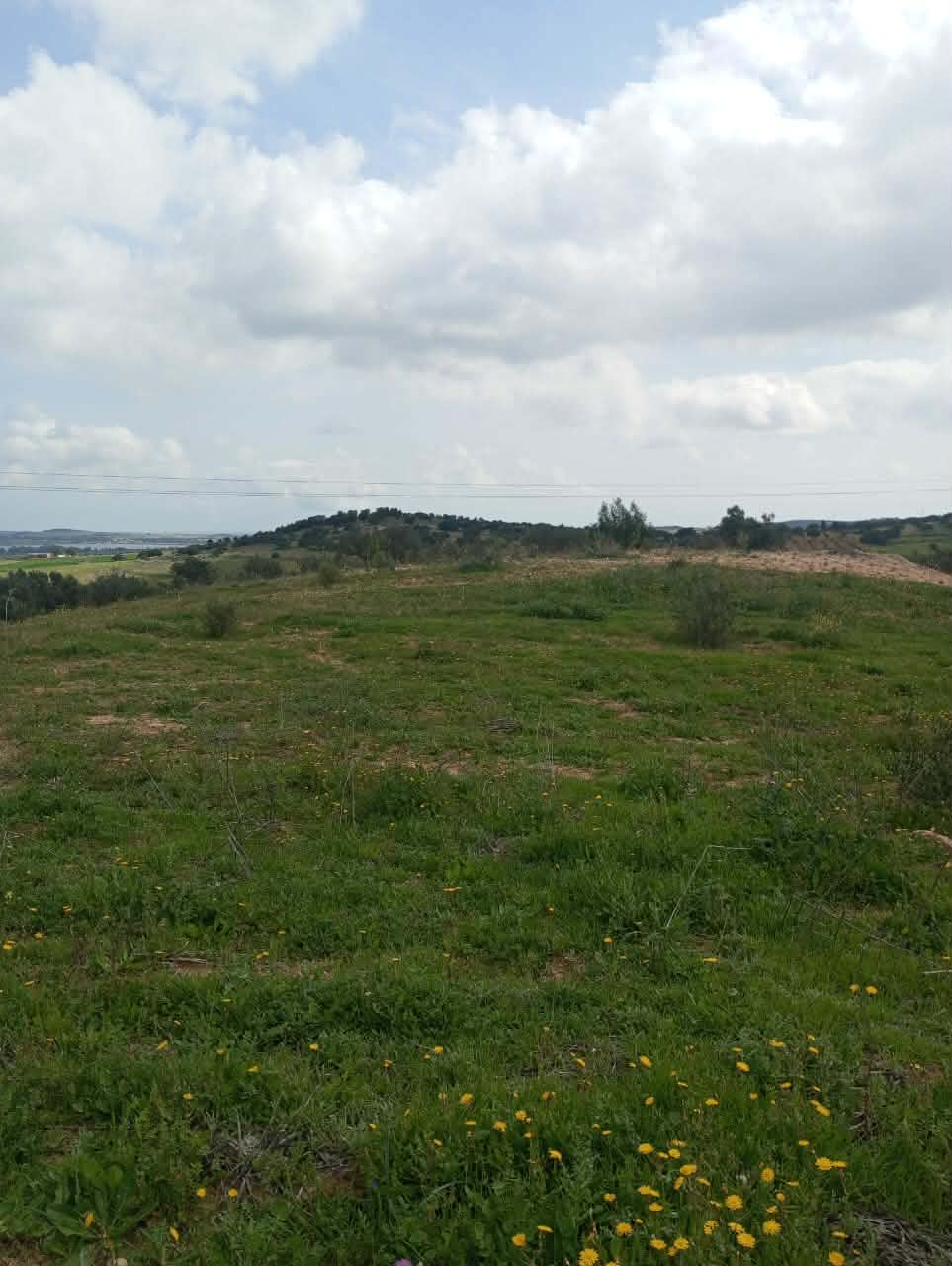 Terrain&nbsp;Terrain agricole