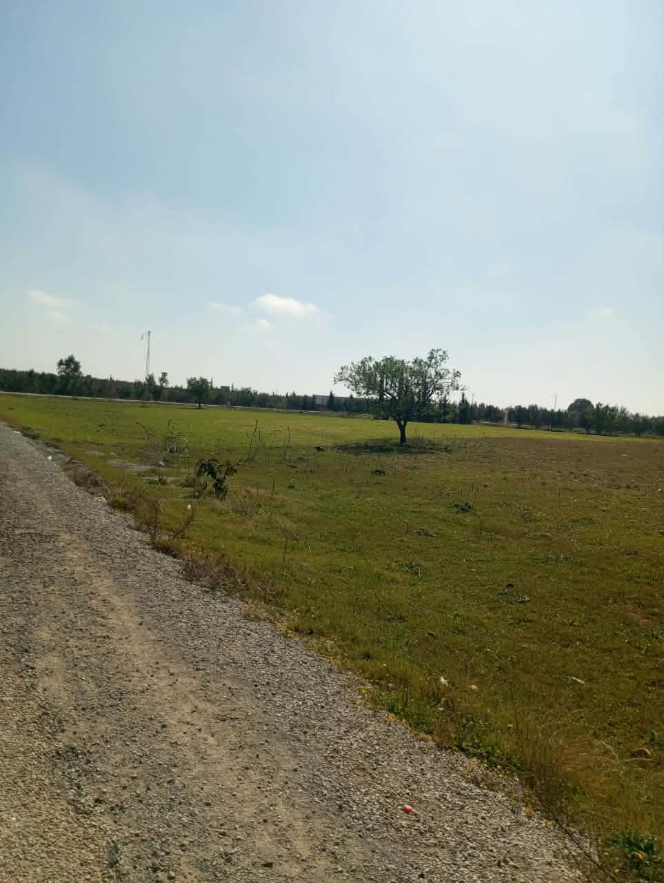 Hammamet&nbsp;Hammamet&nbsp;Terrain&nbsp;Terrain nu&nbsp;Av 1000m � sisi daid sur la route