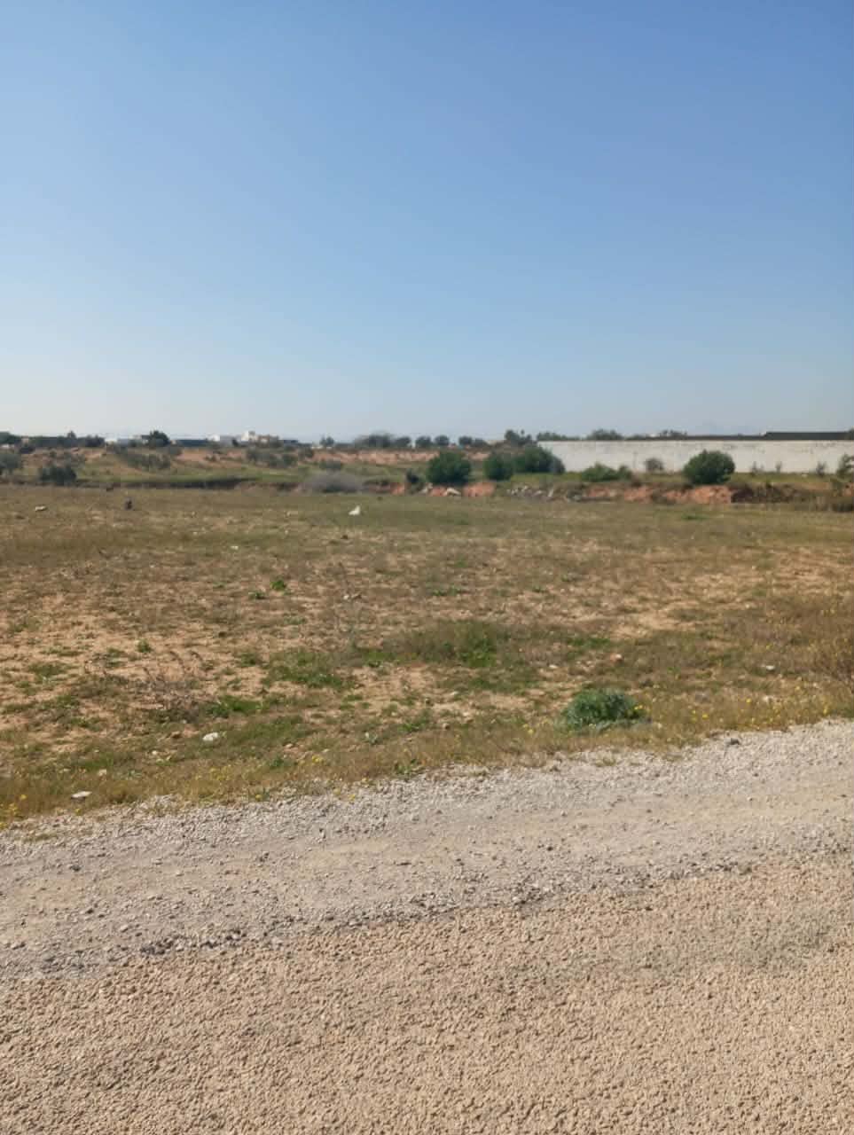 Hammamet&nbsp;Hammamet&nbsp;Terrain&nbsp;Terrain nu&nbsp;Av 1000m � sisi daid sur la route