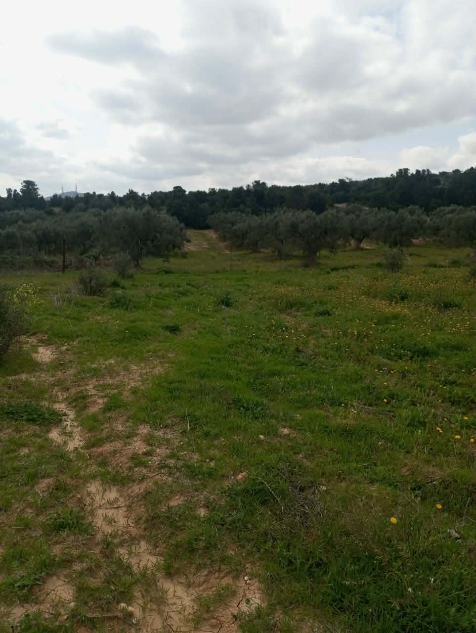 Terrain&nbsp;Terrain agricole