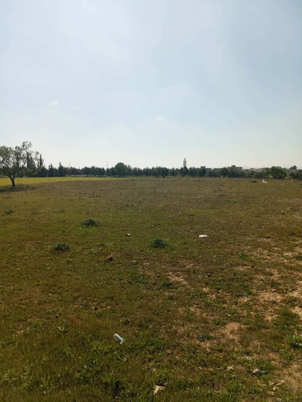 Hammamet&nbsp;Hammamet&nbsp;Terrain&nbsp;Terrain nu&nbsp;Av 1000m sur la route � sidi said