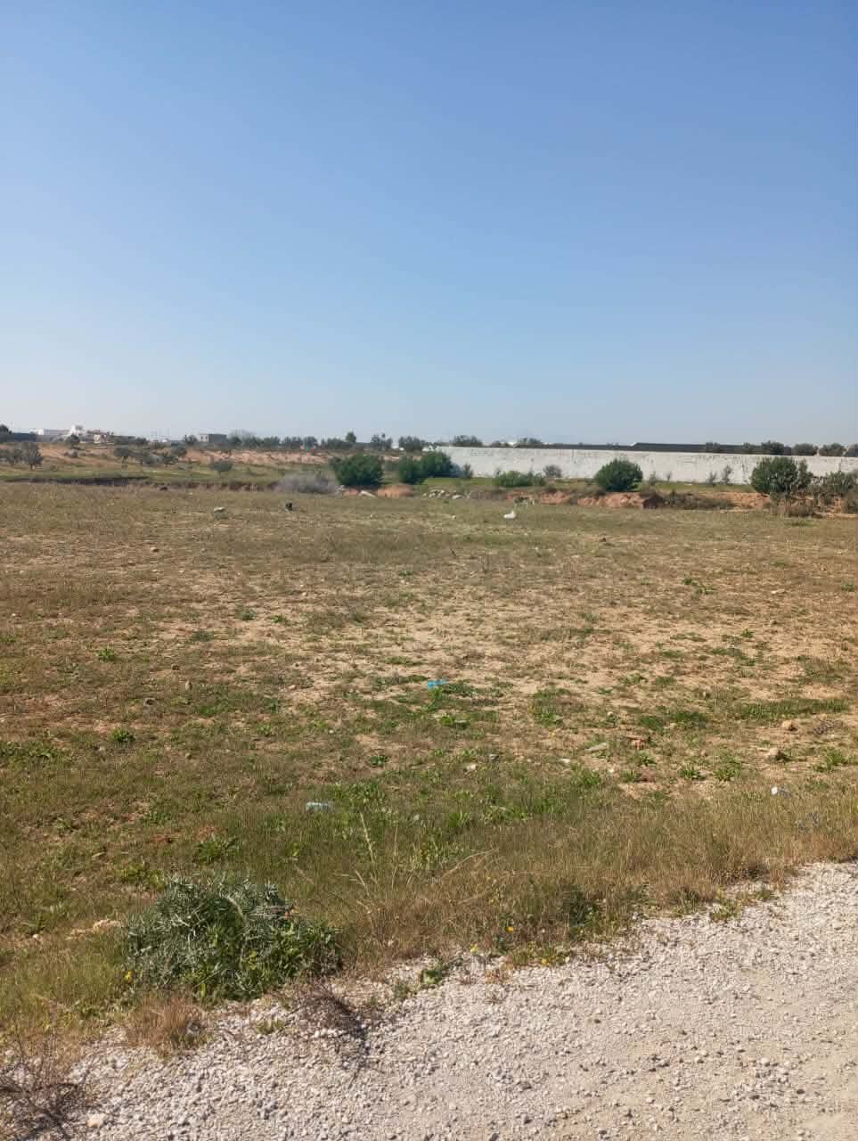 Terrain&nbsp;Terrain nu