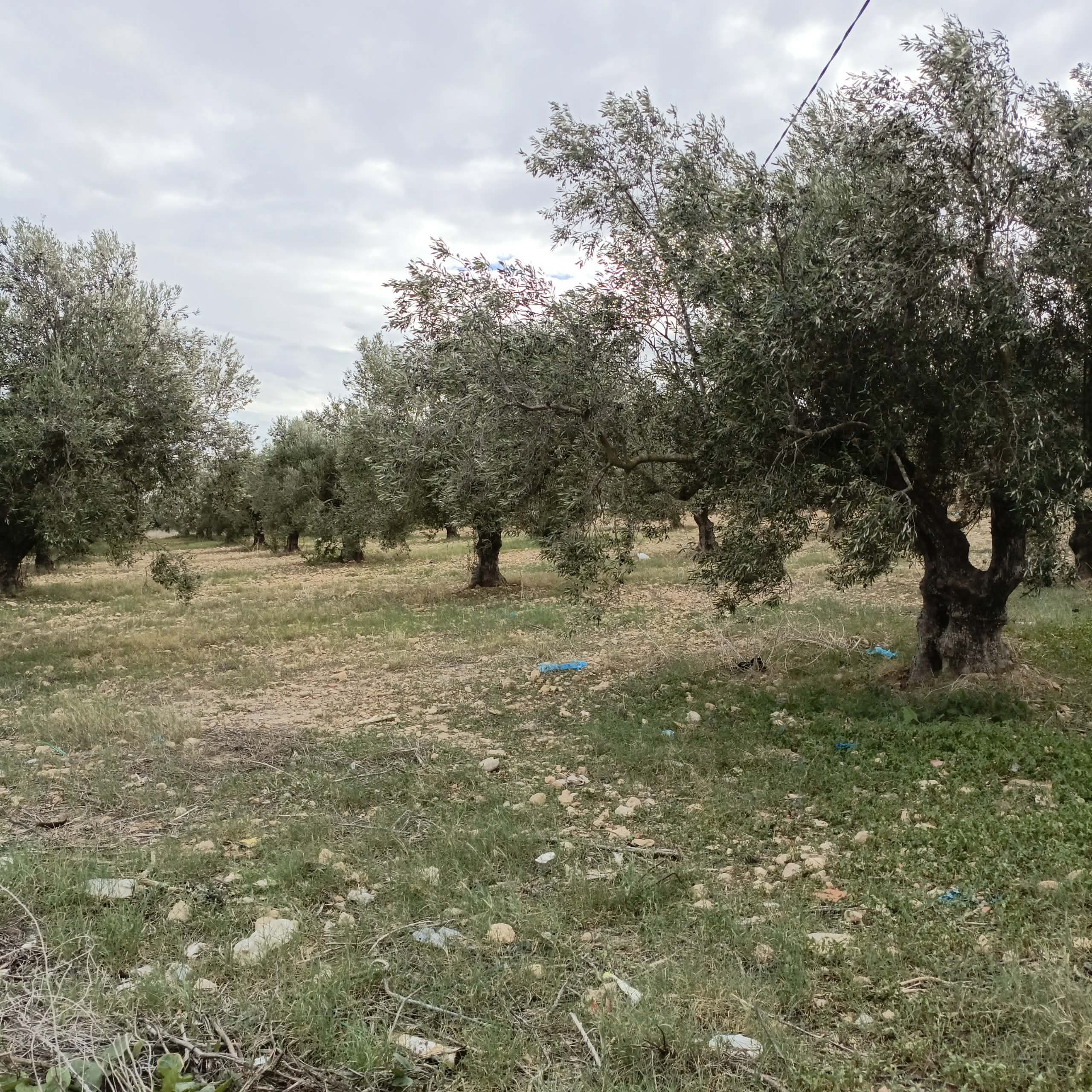 Terrain&nbsp;Terrain agricole