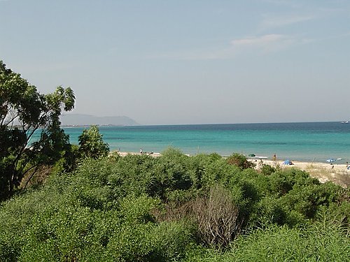 Terrain&nbsp;Terrain agricole