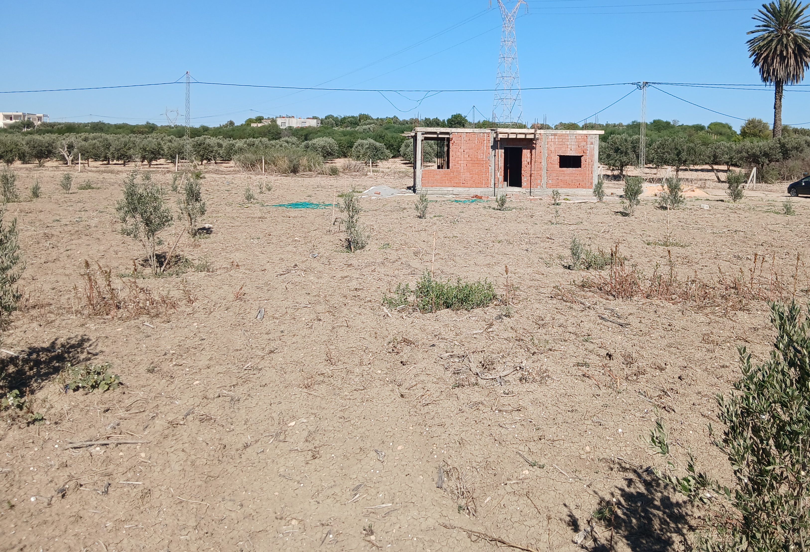 Zaghouan&nbsp;Jimla&nbsp;Terrain&nbsp;Terrain agricole&nbsp;Terrain agricole 5000 m avec une petite maison