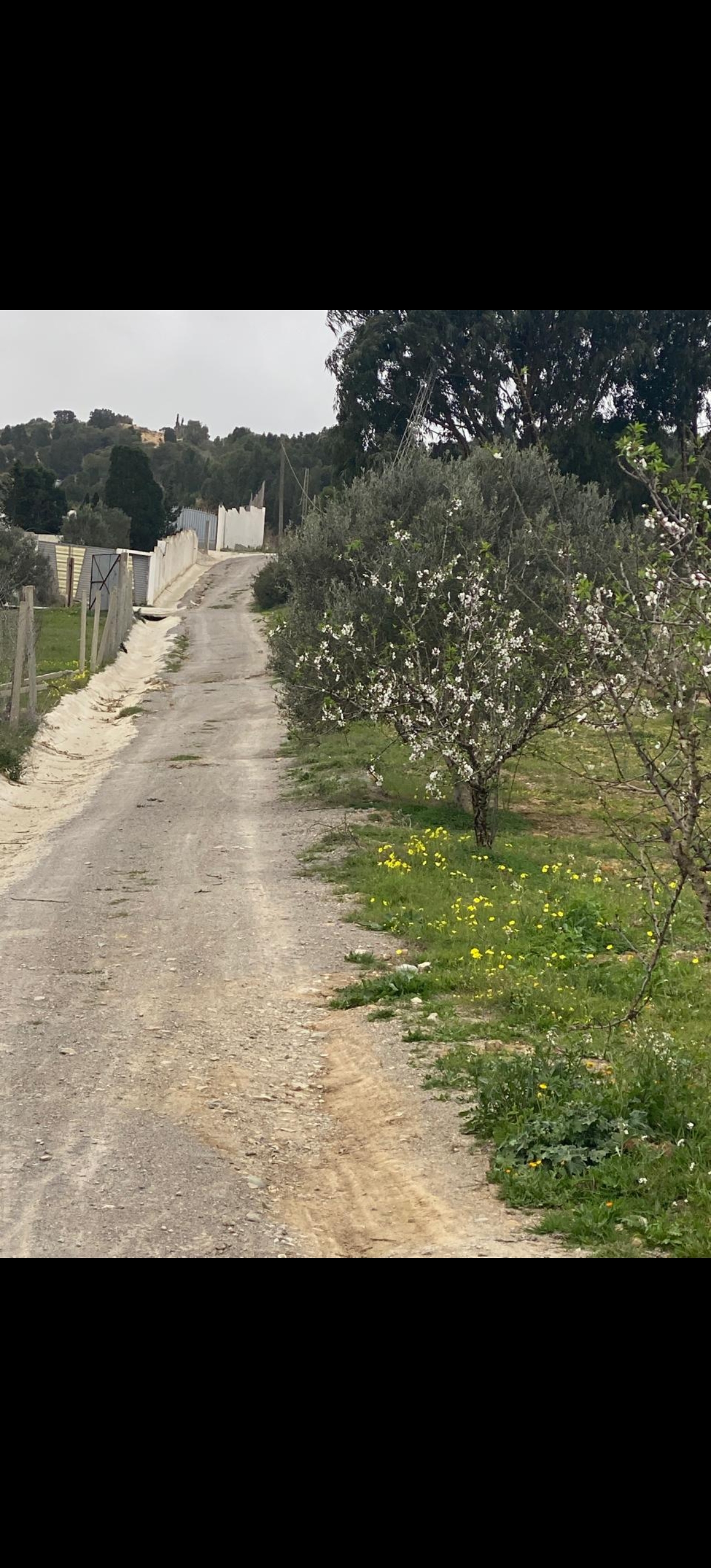 Terrain&nbsp;Terrain nu