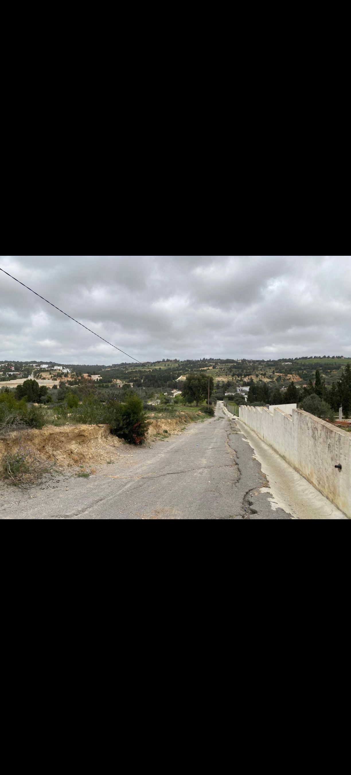 Hammamet&nbsp;Bir Bouregba&nbsp;Terrain&nbsp;Terrain nu&nbsp;Terrain  avec sondage cl�tur�