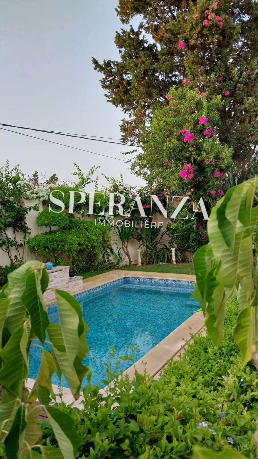 Location&nbsp;Appart. 1 pi�ce