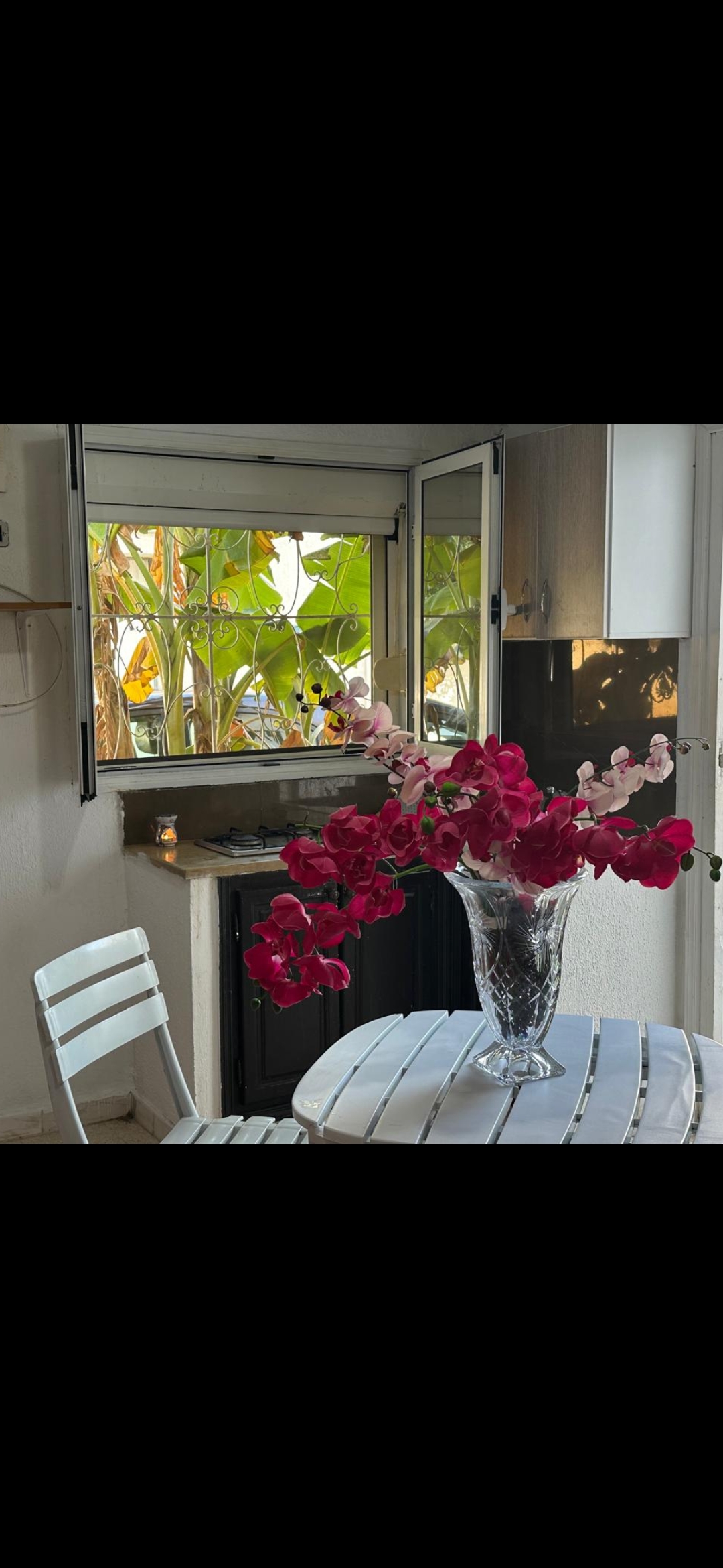 Location&nbsp;Appart. 1 pi�ce