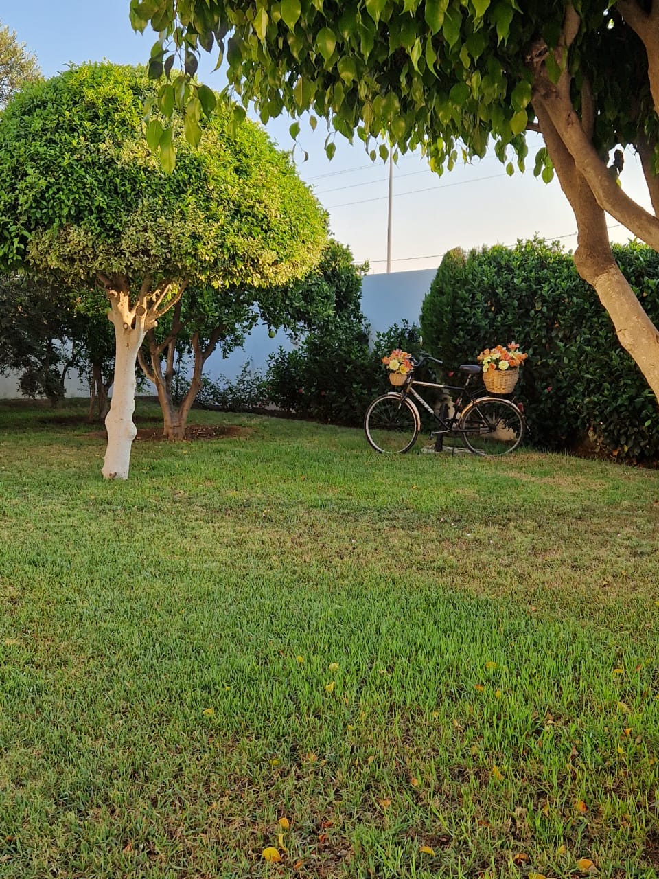 Akouda&nbsp;Chatt Meriem&nbsp;Location&nbsp;Autre&nbsp;Belle villa meubl�e avec jardinet et vue mer