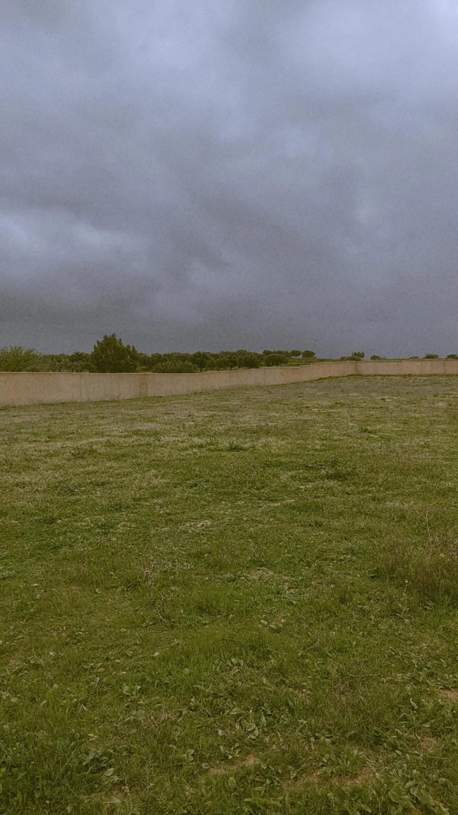 Hammamet&nbsp;Sidi Jedidi&nbsp;Terrain&nbsp;Terrain nu&nbsp;8200 m2 a hammam jdidi hammamet