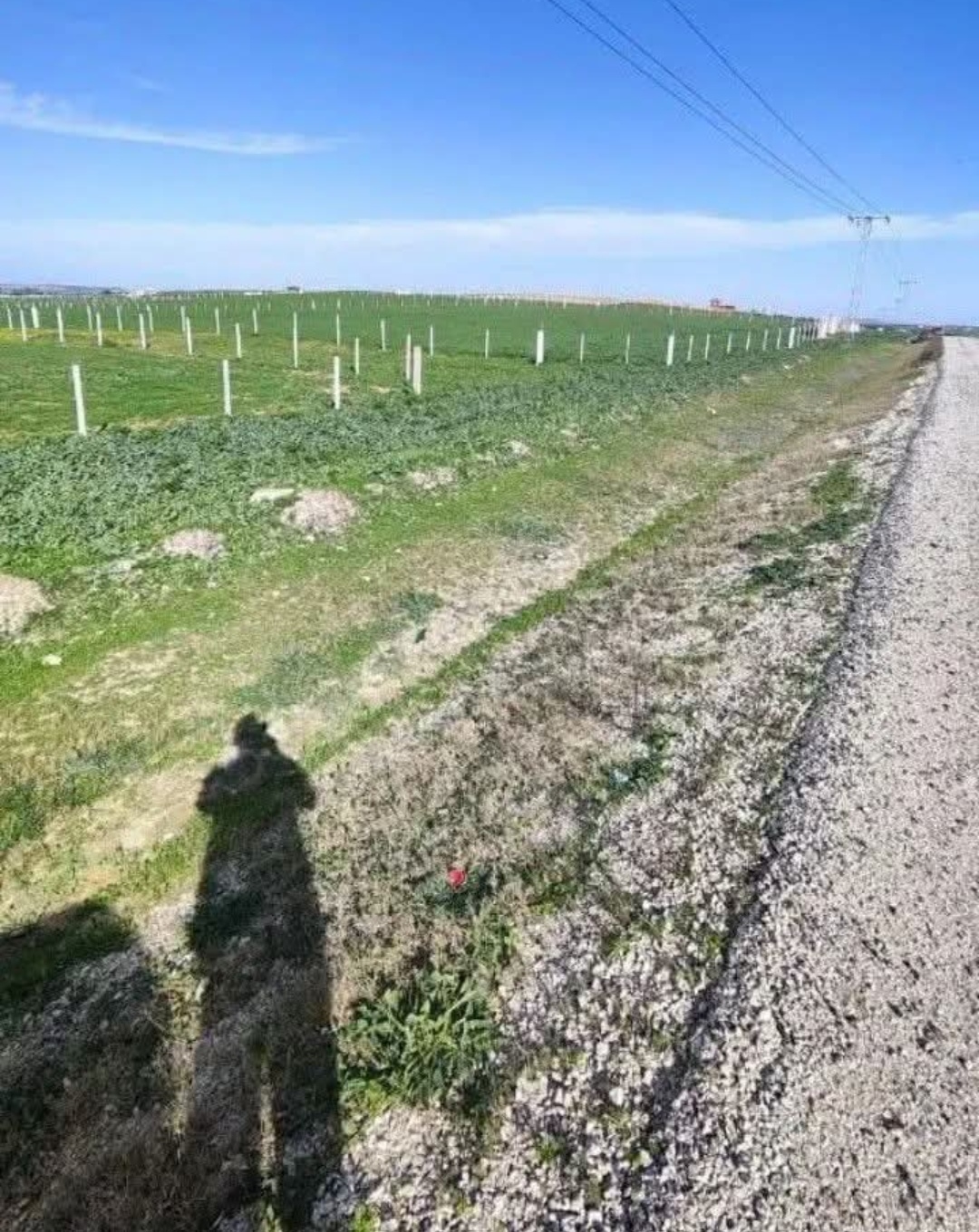 Mannouba&nbsp;La Mannouba&nbsp;Terrain&nbsp;Terrain nu&nbsp;Terrain habitat unique