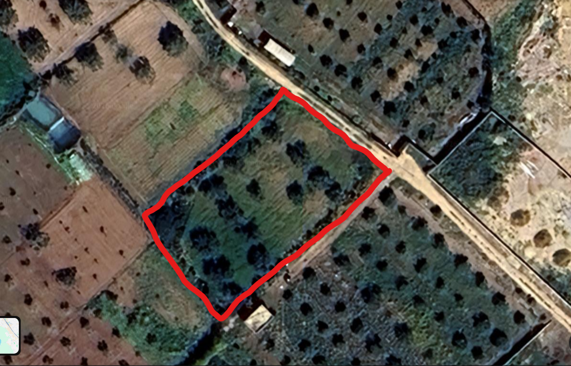 Beni Khiar&nbsp;El Maamoura&nbsp;Terrain&nbsp;Terrain agricole&nbsp;200mm a mamoura