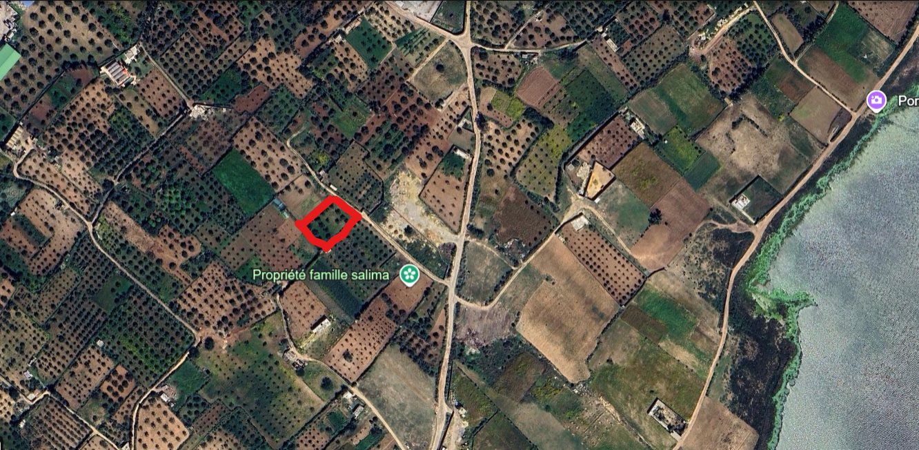 Terrain&nbsp;Terrain agricole