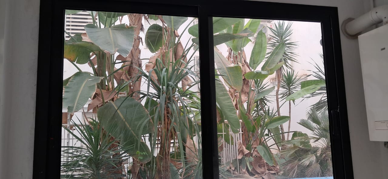 Location&nbsp;Appart. 2 pi�ces