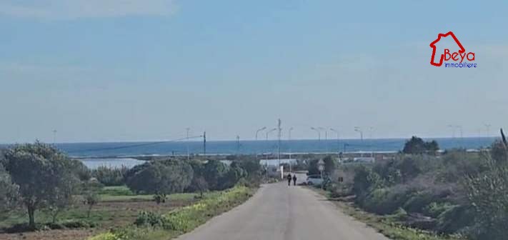 Terrain&nbsp;Terrain nu