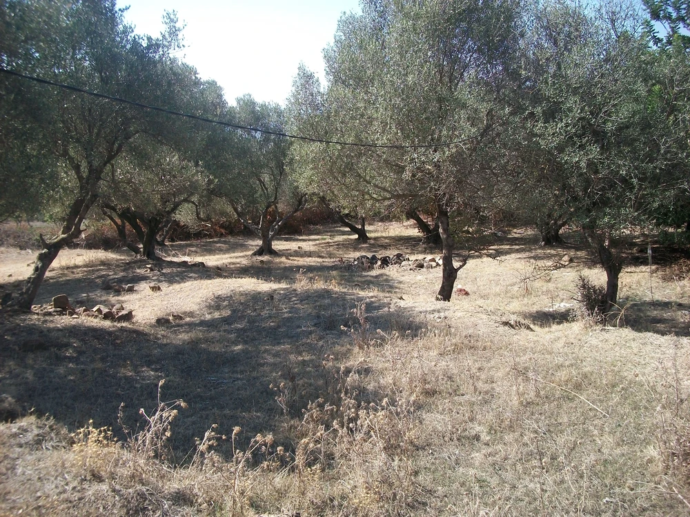 Tabarka&nbsp;Tabarka&nbsp;Terrain&nbsp;Terrain nu&nbsp;Terrain � tabarka